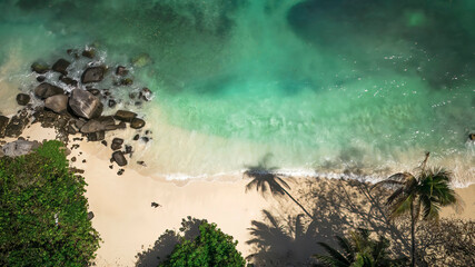 Drone top view of tropical Sunny beach a women and coconut palms on Seychelles. Summer vacation and tropical beach concept.