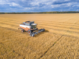 Harvest wheat grain and crop aerial view.Harvesting wheat,oats, barley in fields,ranches and farmlands.Combines mow in the field.Agro-industry.Combine Harvester Cutting on wheat filed.Machine harvest