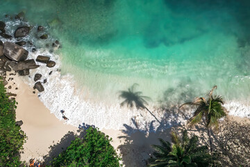 Drone top view of tropical Sunny beach and 2 lovers  coconut palms on Seychelles. Summer vacation and tropical beach concept.