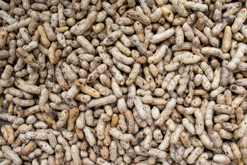 Raw peanuts in a shell texture. Close up of a pile of peanut pods. Top view