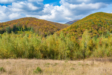 Autumn forest and mountains. Beautiful autumnal landscape in the forest