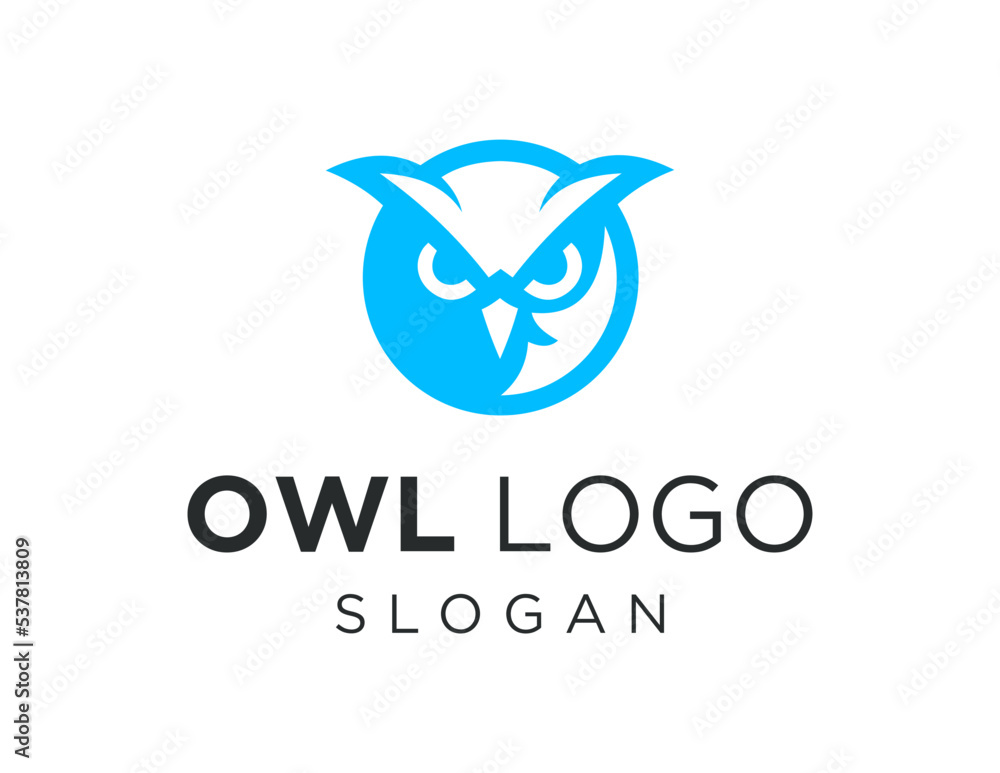 Poster logo about owl on white background. created using the coreldraw application.