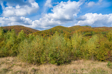 Fototapeta premium Autumn forest and mountains. Beautiful autumnal landscape in the forest
