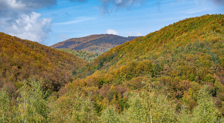 Autumn forest and mountains. Beautiful autumnal landscape in the forest
