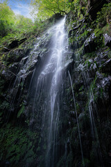 Obraz premium Waterfall in the forest inside the Gorbea natural park, Belaustegi. Basque Country, Spain