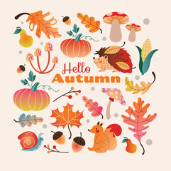 Obraz na płótnie Canvas autumn set of leaves and fruits