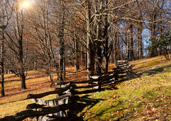 Autumn Landscape in Mountains of North Carolina