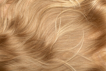 Blond hair close-up as a background. Women's long blonde hair. Beautifully styled wavy shiny curls....
