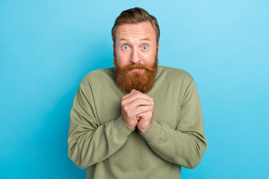Portrait of pleading handsome man with red hairstyle dressed khaki pullover hold hands together isolated on blue color background