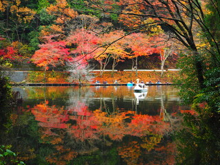 鎌北湖の紅葉