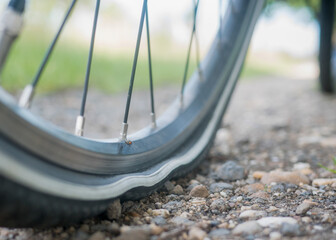 Flat bike tire. A mosquito sits on a broken bicycle wheel.