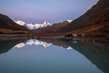 mountains glacier lake reflection horses dawn autumn