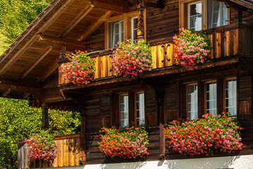 Wohnhaus mit Blumenschmuck in Brienz