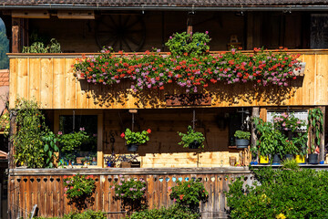 Wohnhaus mit Blumenschmuck in Brienz