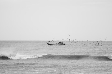 fishing boat in the sea with seagulls flying behind,  black and white photo