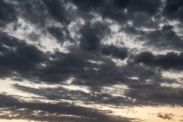 Naklejka na ściany i meble cloudy sky at sunset with seagulls flying