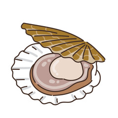 魚　魚介類　水産　海　食べ物　ホタテ