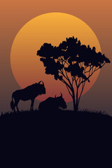 Fototapeta premium silhouette of a horse in the sunset