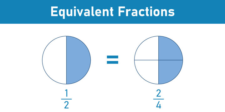 Equivalent fractions one half explained in mathematics. Vector illustration isolated on white background.