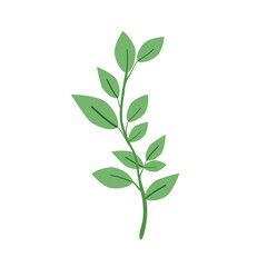 Fototapeta na wymiar Green leaf isolated on white background. illustration. PNG clipart.