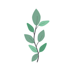 Green leaf isolated on white background.  illustration. PNG clipart.