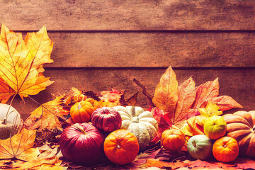 Naklejka na ściany i meble Happy thanksgiving, autumn decoration on on dark aged wood planks, pumpkin decoration, fallen autumn leaves, autumn floral decor, autumn fruits, warm colors