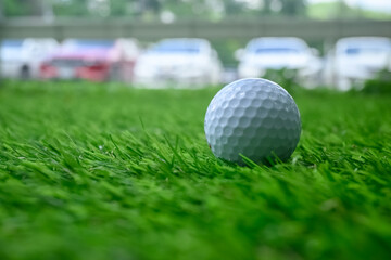 golf ball on green grass