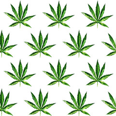 Green marijuana leaf seamless pattern, Cannabis leaf drug herb. Hand drawn watercolor illustration on white background