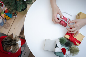 Obraz premium flat lay woman hand decorate christmas tree and new year gift box and play with her cat