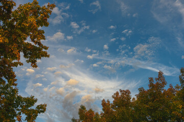 Marburg, Natur, Herbst