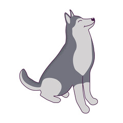 cartoon husky dog