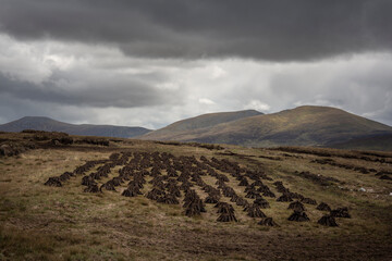 Machine-cut turf is drying in the vast landscape of north-west Ireland.