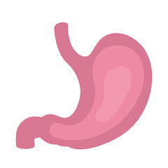 Vector human stomach icon isolated on white background