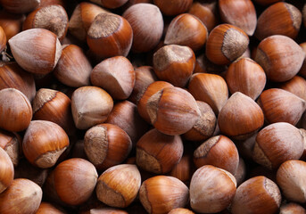 hazelnuts in a basket on a brown background