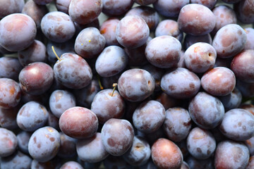 Plums background. Fresh plums closeup. Harvest of garden plums. Natural eco friendly Healthy Eating