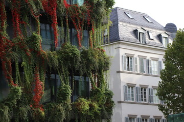 begrüntes gebäude neben renoviertem altbau in der stadt