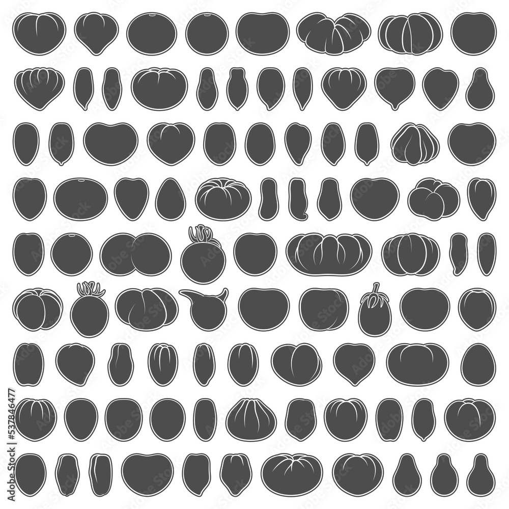 Poster set of black and white illustrations with tomatoes of various varieties and shapes. isolated vector 