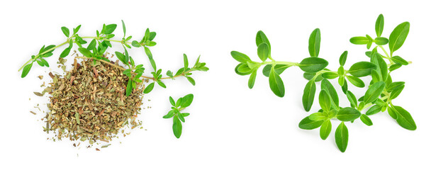 Green thyme with dried thyme leaves isolated on white background close up