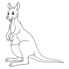 Kangaroo Cartoon Animal Illustration BW