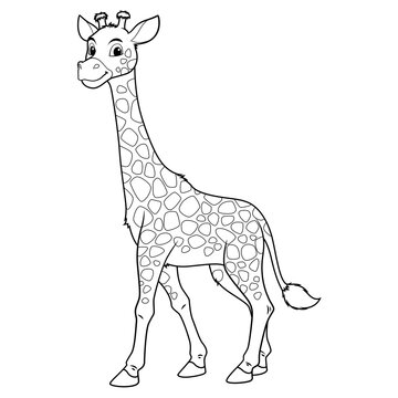 Giraffe Cartoon Animal Illustration BW