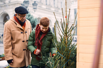 Senior man and his grandson choosing tree at Christmas market during winter holidays. - obrazy, fototapety, plakaty