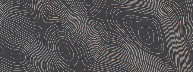 Black and white wavy abstract topographic map contour, lines Pattern background. Topographic map and landscape terrain texture grid. Wavy banner and color geometric form. Vector illustration.