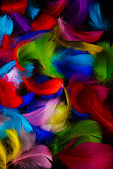 Background texture of brightly colored dyed bird feathers in the colors of the rainbow or spectrum in a random pile viewed from above in a full frame view