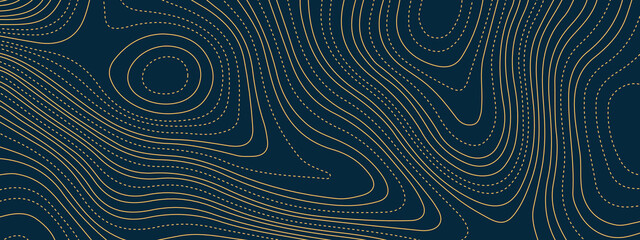 The stylized multicolored wavy abstract topographic map contour, lines Pattern background. Topographic map and landscape terrain texture grid. Wavy banner and color geometric form. Vector illustration