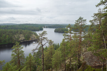 Fototapeta premium Fog raising over the lake, rocks and forest in the Repovesi National Park after the rain on cloudy summer day. View from Katajavuori Hill