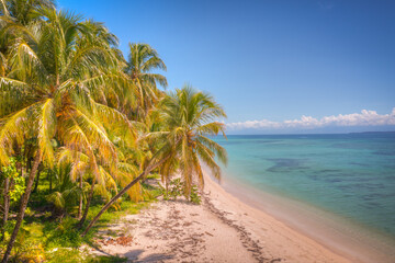 Carribean Island