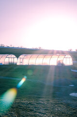 illuminated greenhouse in cold sunny afternoon
