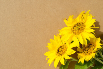 Yellow sunflowers on eco friendly cardboard or craft paper background. Sunflower bouquet on brown wooden table. Greeting card. Empty place for a text. Top view