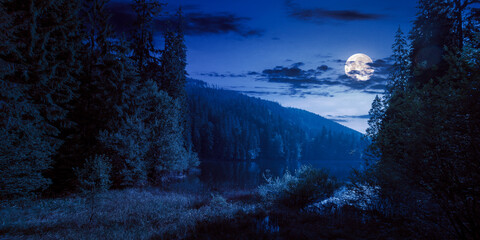 wild lake among the coniferous forest at night. beautiful nature landscape in carpathian mountains....