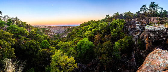 panoramic of deciduos forest in a valley at sunset, green trees and rocks in front of a cliff, cuajilote monte escobedo zacatecas  - obrazy, fototapety, plakaty